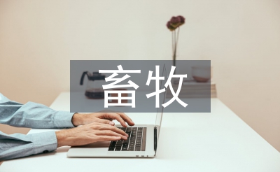 畜牧市场论文
