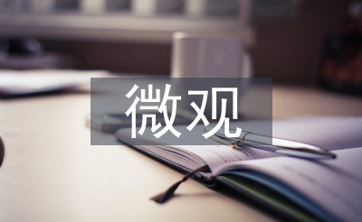 微观经济学的焦点观点